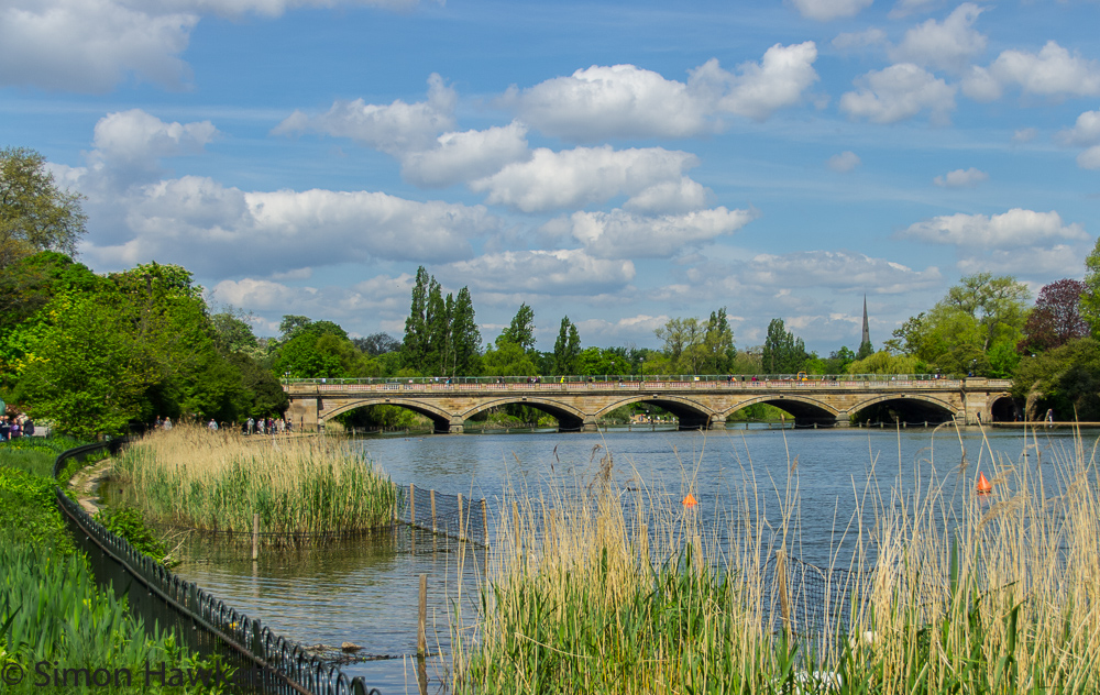 Serpentine bridge