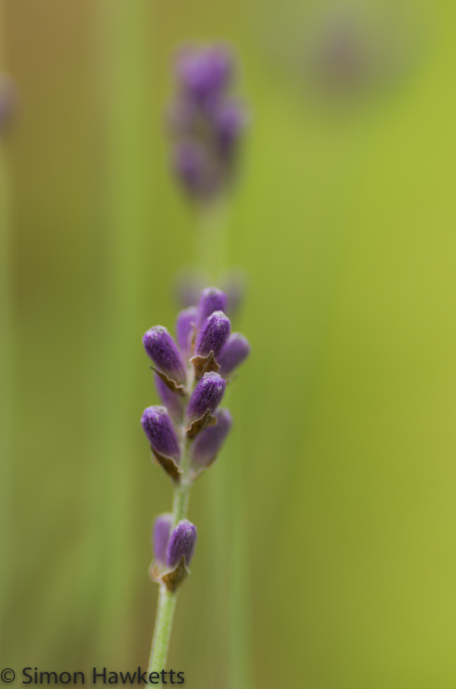Bokeh