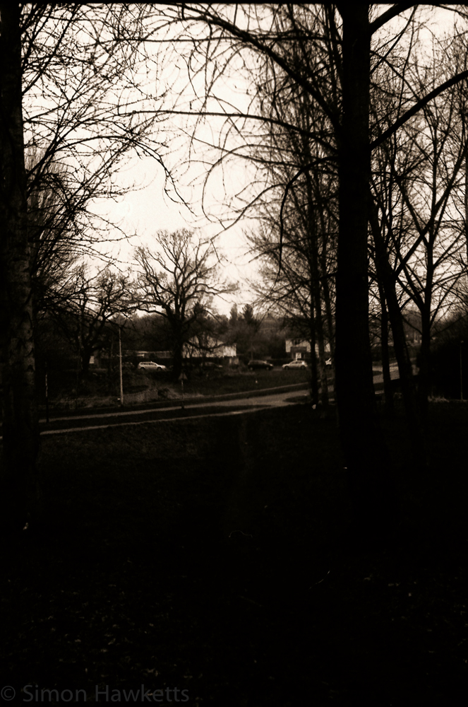 Yashica MG-1 sample pictures - Trees in Stevanage