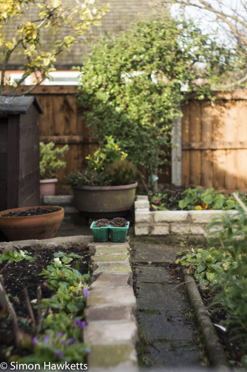 Sony Nex 6 test shots - A country garden