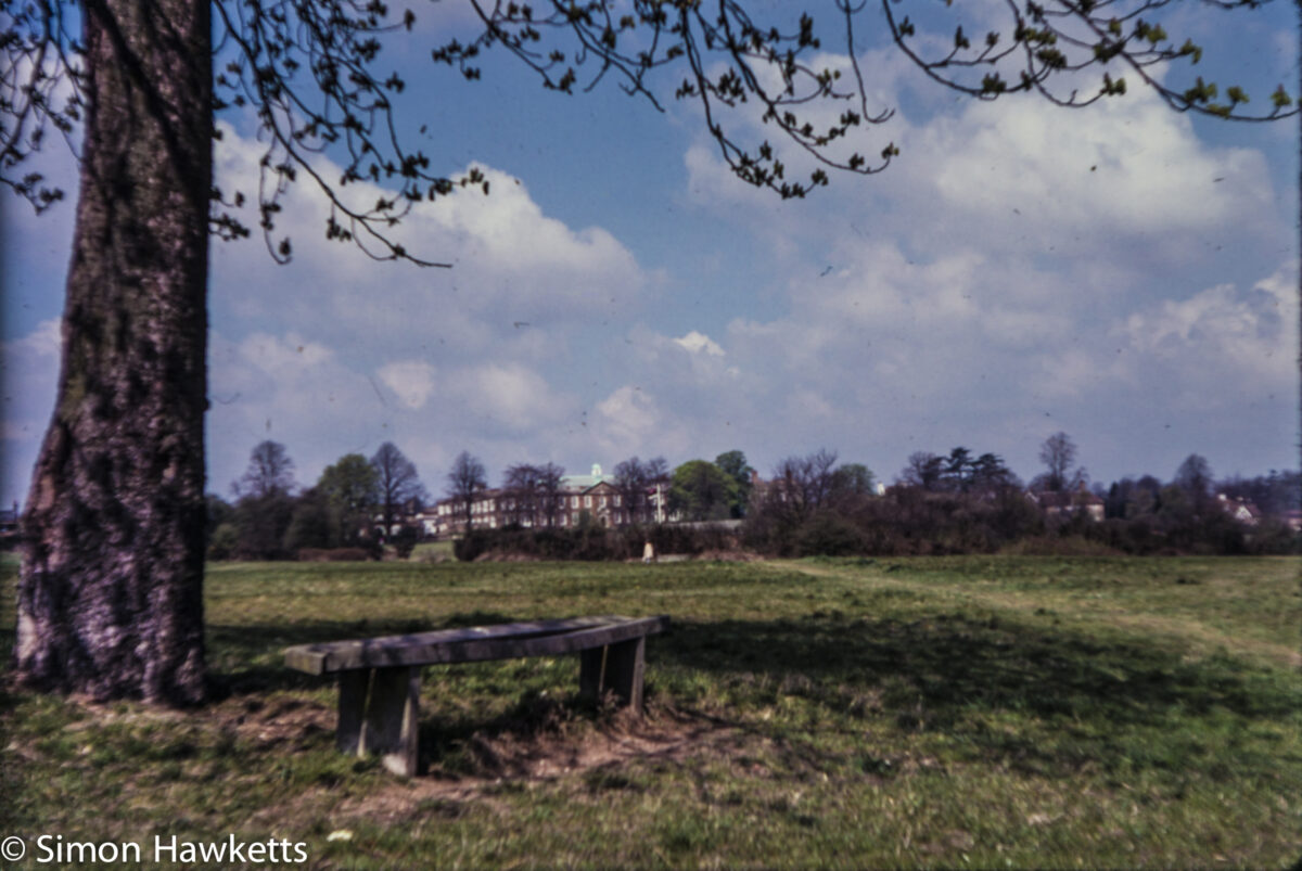 Views around London c1980 on colour slide film - A tree and a bench