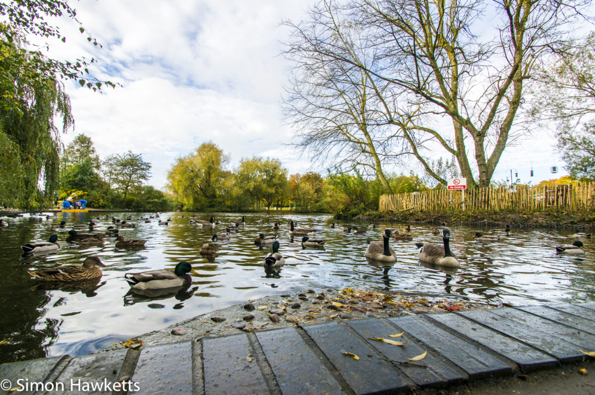 Tamron 10-24 wide angle sample pictures - By the lake in Fairlands Valley Park Stevenage