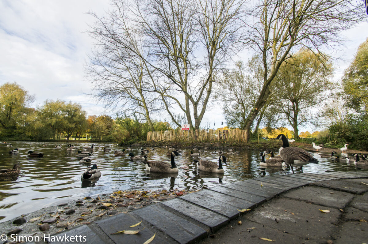 Tamron 10-24 wide angle sample pictures - By the lake in Fairlands Valley Park Stevenage