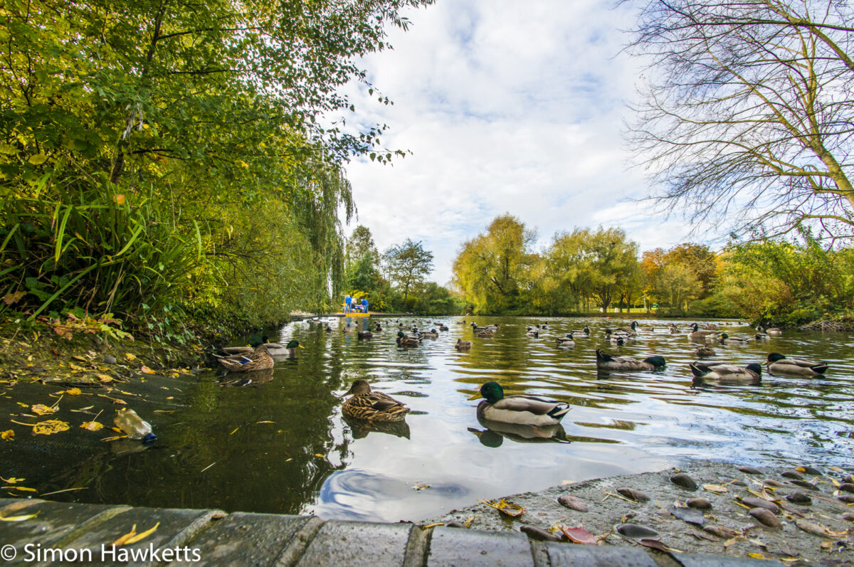 Tamron 10-24 wide angle sample pictures - Old bottle floating on the lake in Fairlands Valley Park Stevenage