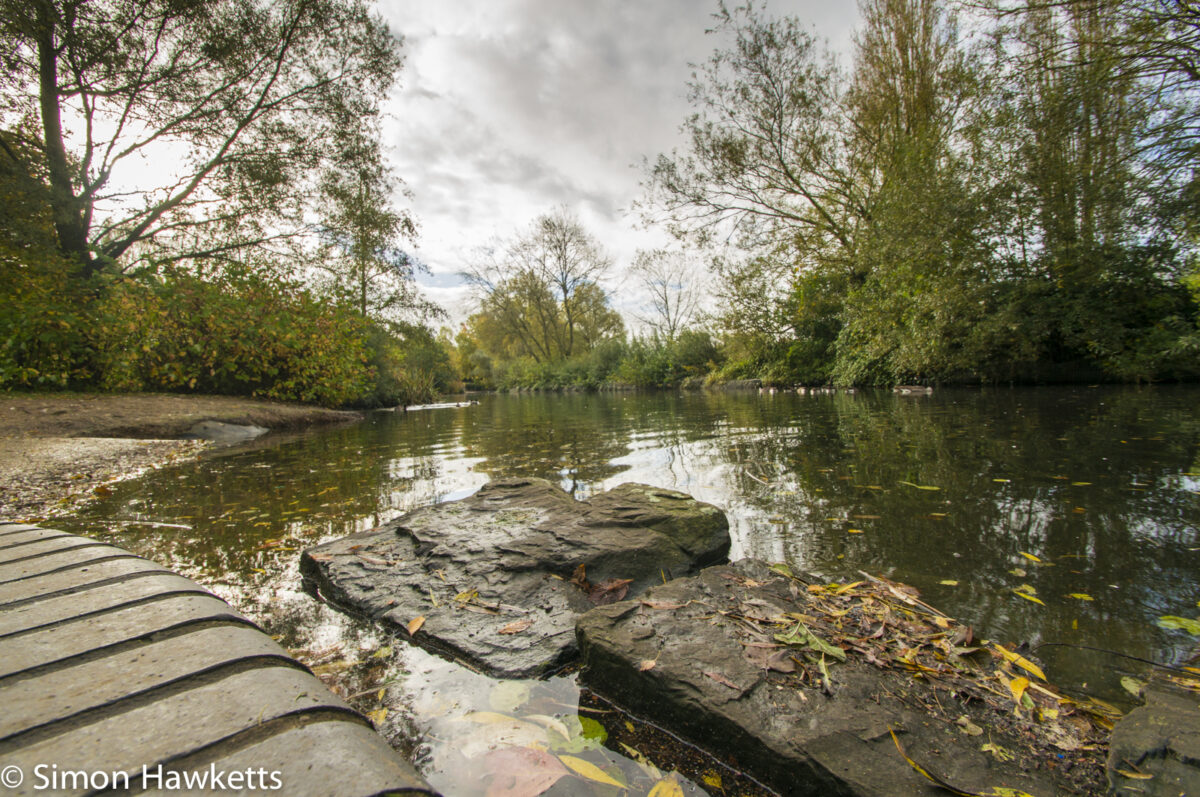 Tamron 10-24 wide angle sample pictures - Stones & Leaves in Fairlands Valley Park Stevenage
