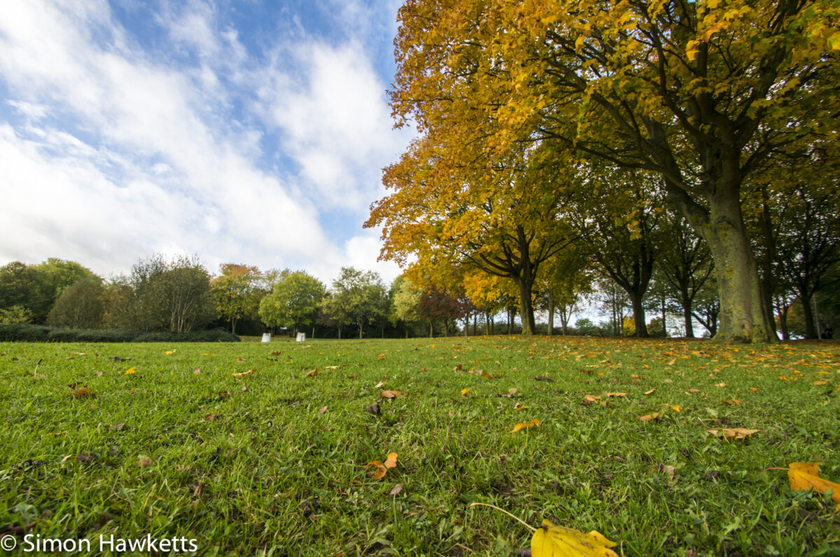 Tamron 10-24 wide angle sample pictures - Autumn leaves by the lake in Fairlands Valley Park Stevenage