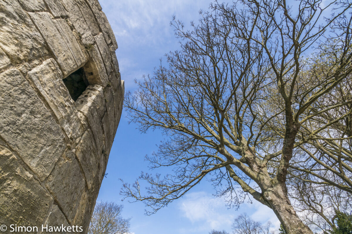 A defensive fort and a tree by the Ouse in York