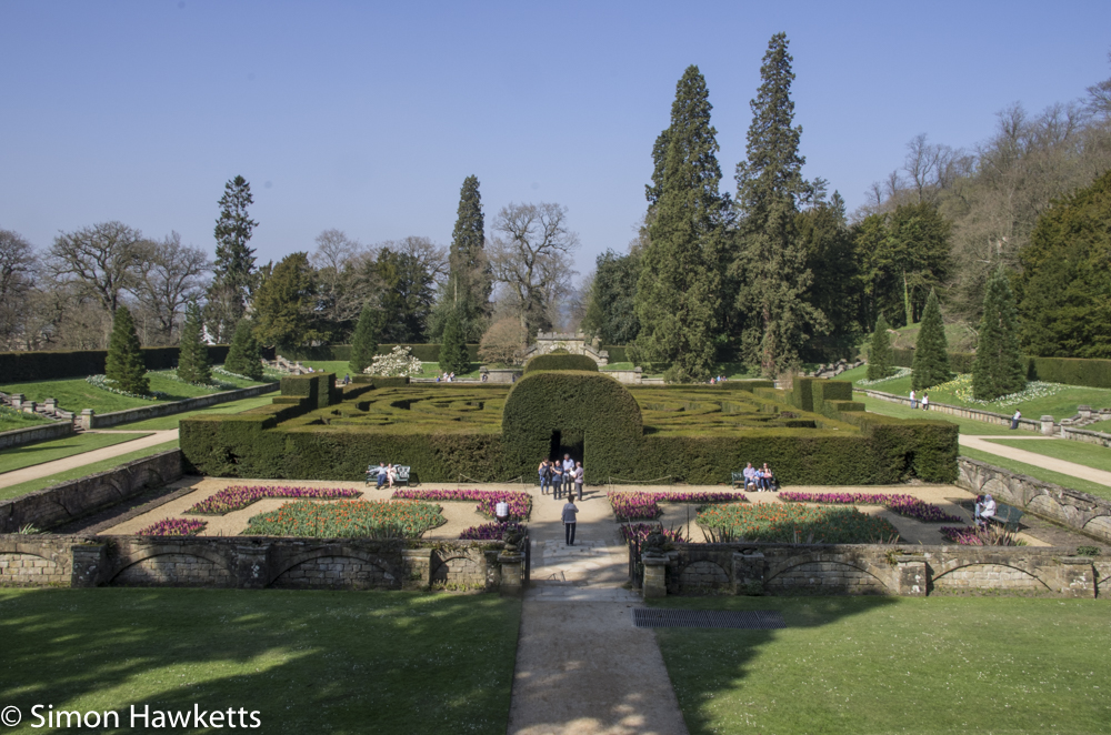 Chatsworth house pictures - the maze