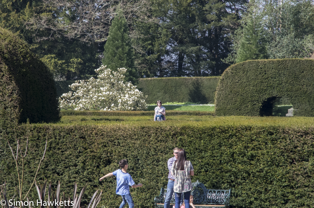 Chatsworth house pictures - Emma in the maze