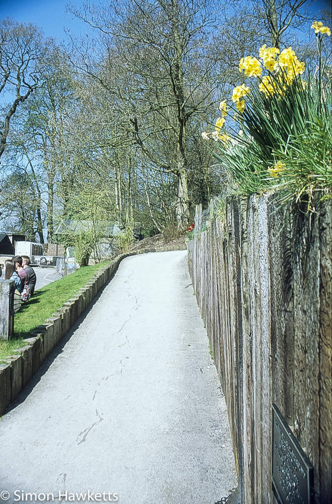 Chatsworth house pictures - Path to the adventure playground