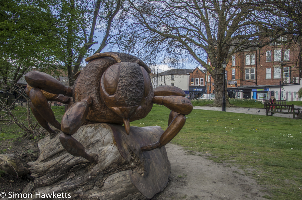 Pentax K5 and Sigma 18 - 125 HSM - Large carved bee by chesterfield church
