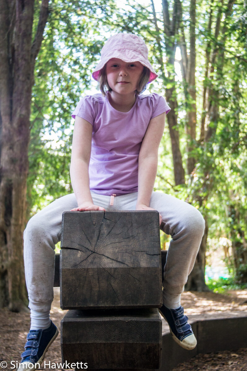 Pictures from Sudbury Hall in Derbyshire - A small girl plays on a wooden snake