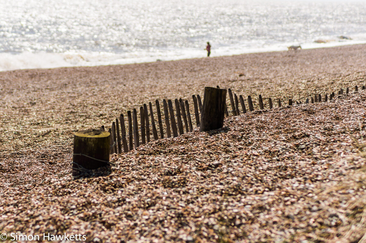 Dunwich Heath Suffolk pictures - Fence posts in a line along the pebble beach