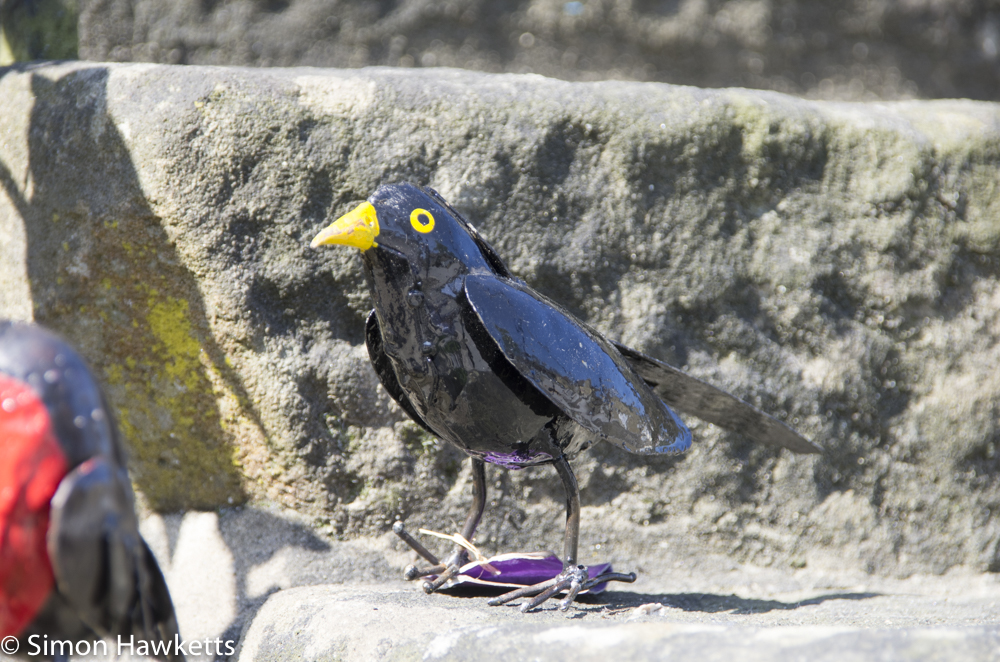 Eyam Hall Pictures - Craft shop bird