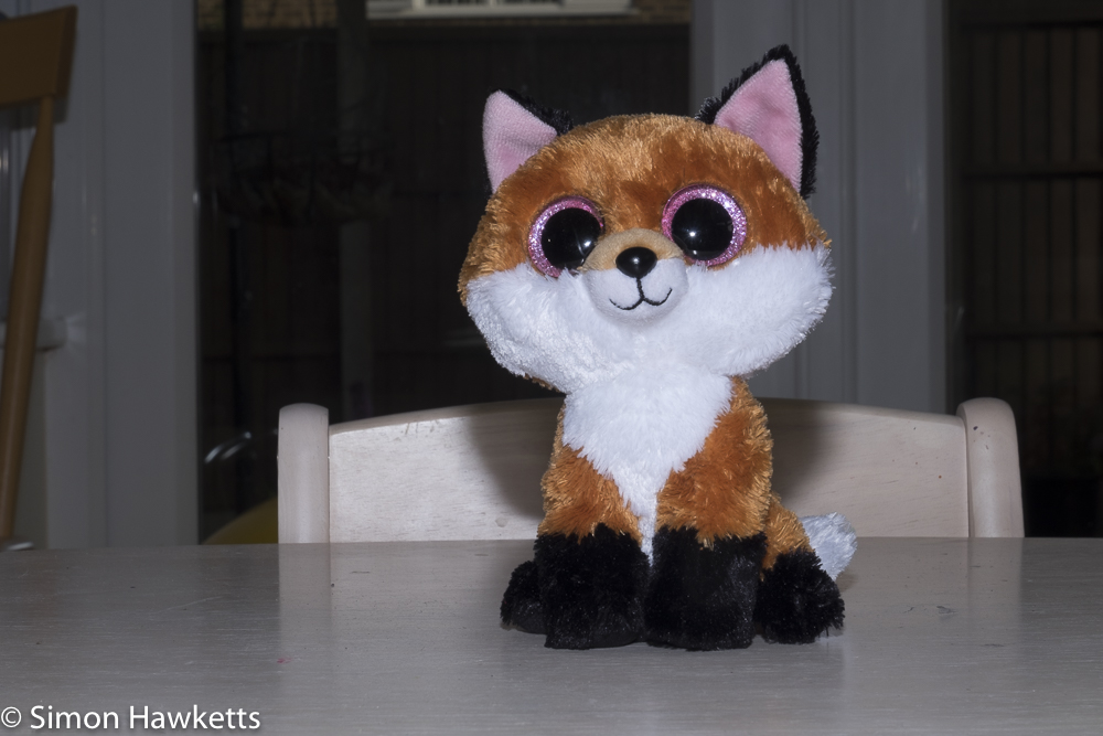Fuji X-T1 and Yongnuo flash experiments - initial picture @ f/22