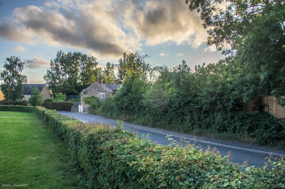 A country lane in Gloucestershire in the evening sun