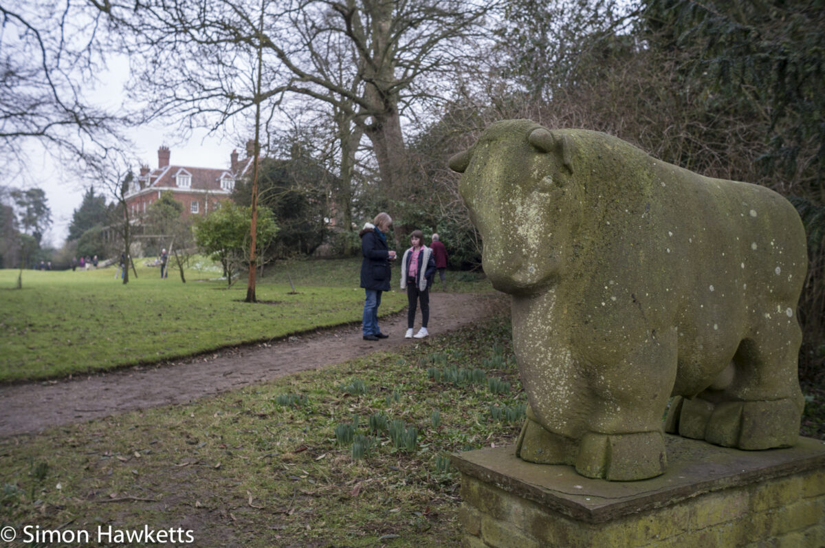 Pictures of Bennington Lordship - Concrete cow