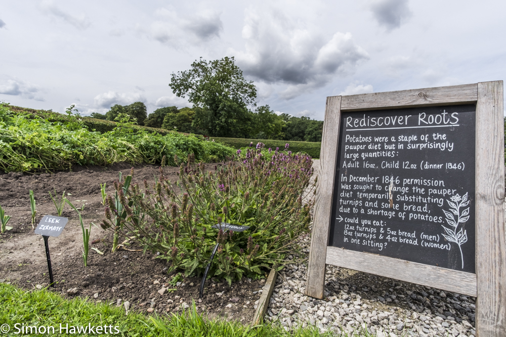 Fuji X-T1 and Samyang 12mm Southwell Workhouse pictures - The garden at Southwell