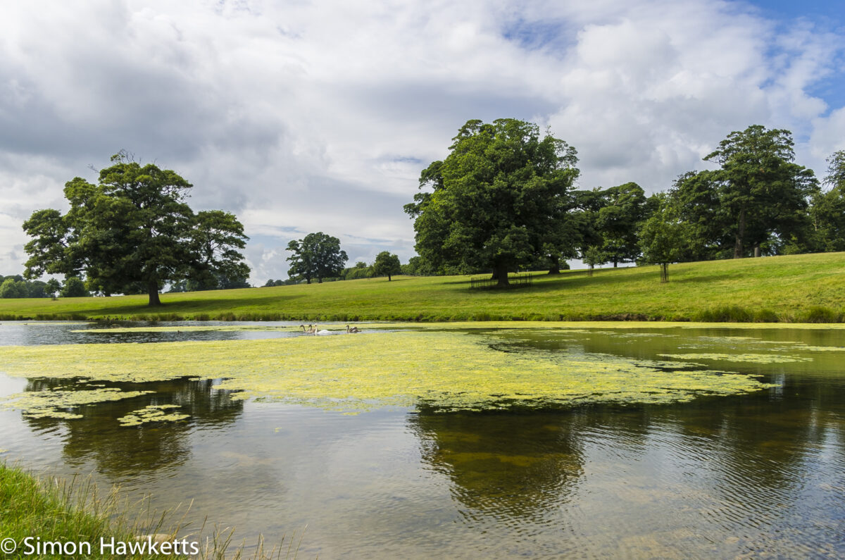 Raby Castle County Durham Pictures - The Lake at Raby Castle
