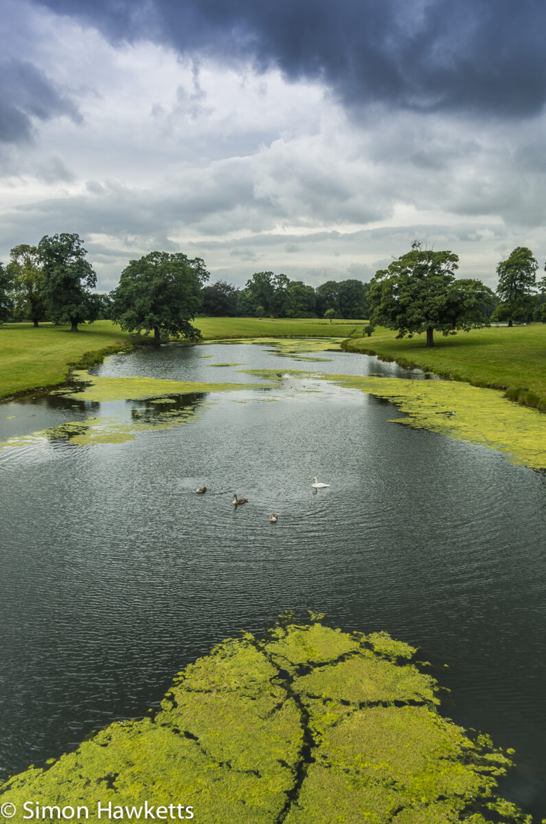 Raby Castle County Durham Pictures - The Lake at Raby Castle