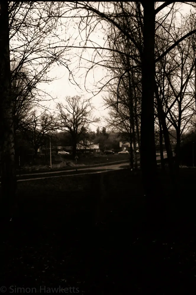 First film developed for 20 years ! 24 Yashica MG-1 sample pictures - Trees in Stevanage