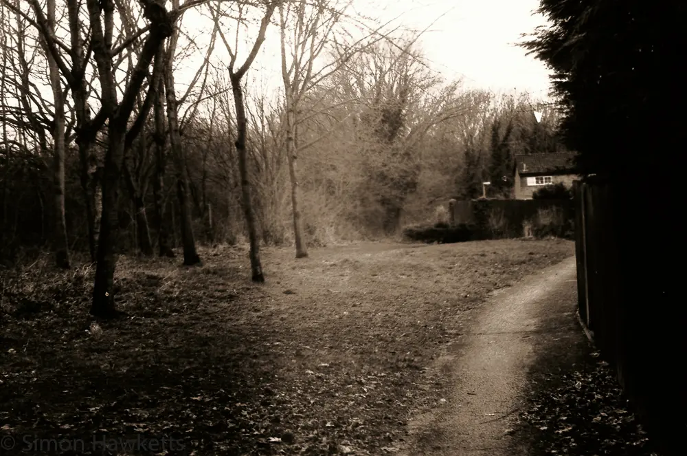 First film developed for 20 years ! 9 Yashica MG-1 sample pictures - Path by the railway line