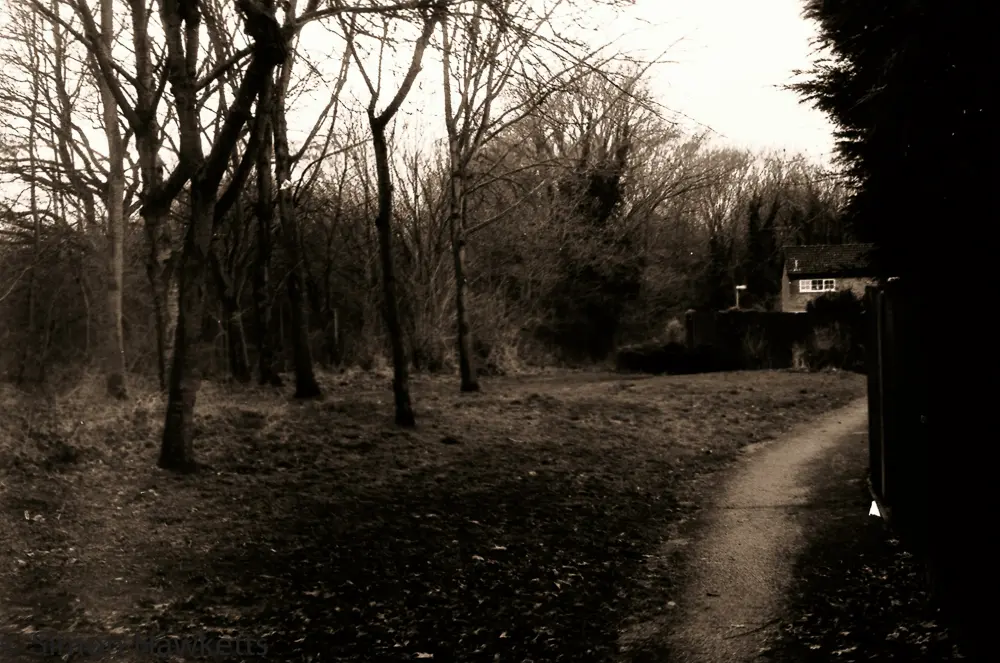 First film developed for 20 years ! 7 Yashica MG-1 sample pictures - Path by the railway line