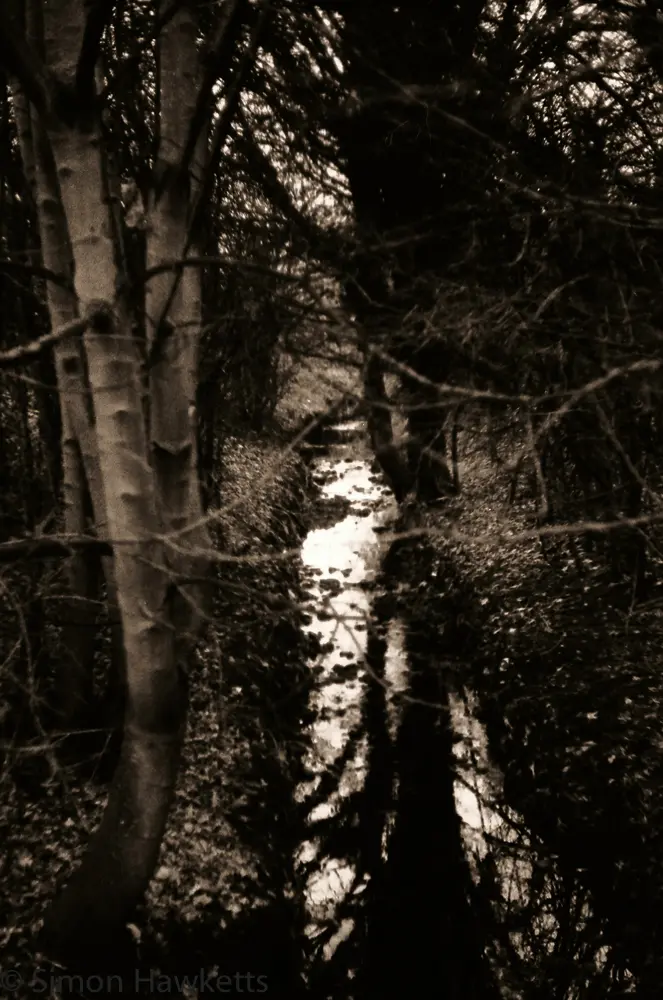 First film developed for 20 years ! 6 Yashica MG-1 sample pictures - Stream
