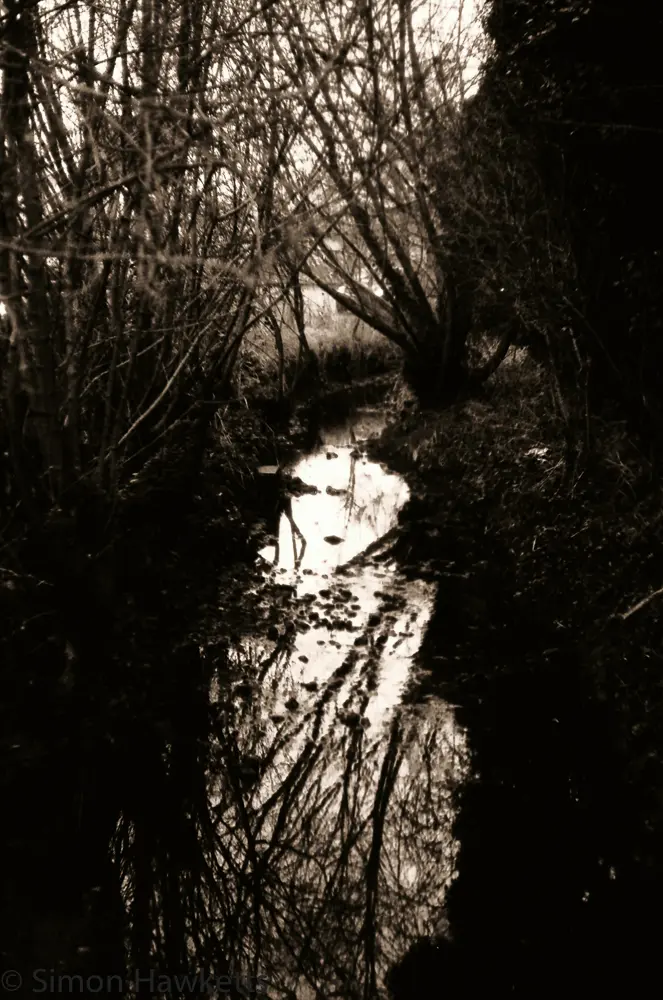 First film developed for 20 years ! 5 Yashica MG-1 sample pictures - Stream