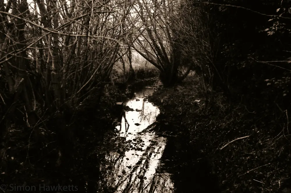 First film developed for 20 years ! 4 Yashica MG-1 sample pictures - Stream