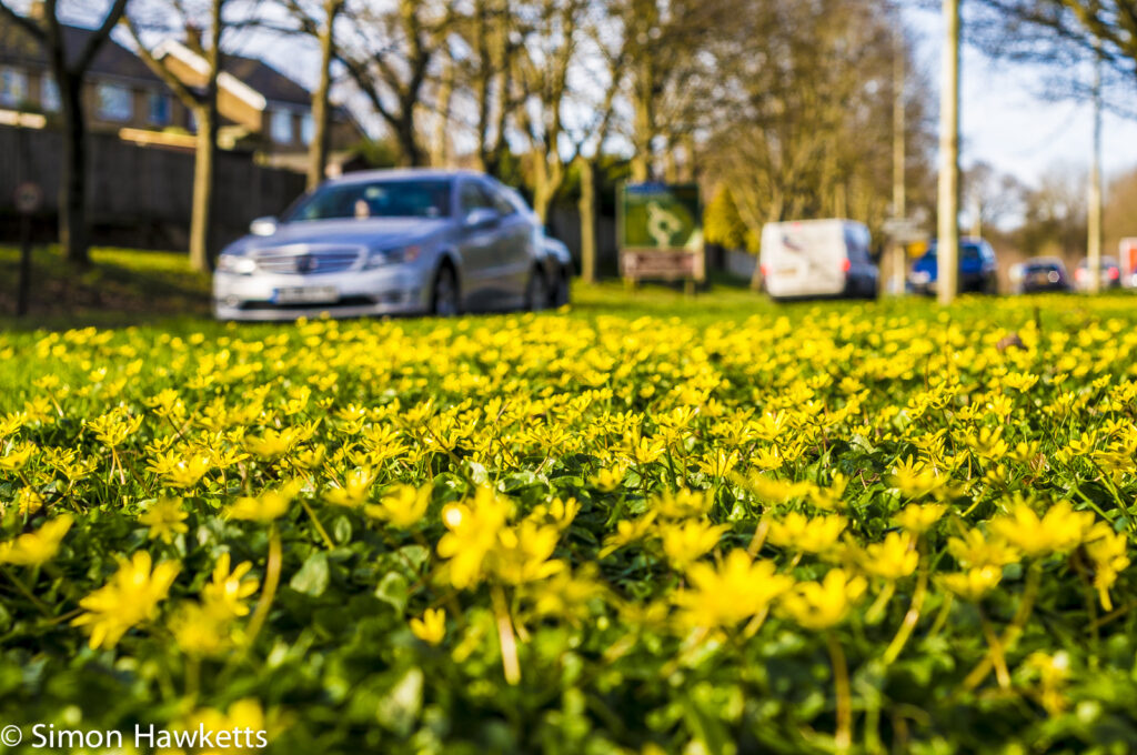 Nex-6 and Pentax smc 50mm f/1.7 prime pictures - Buttercups and cars
