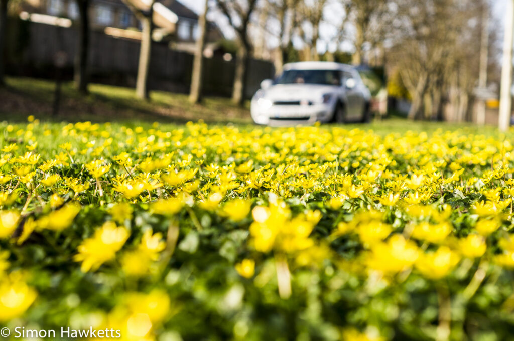 Nex-6 and Pentax smc 50mm f/1.7 prime pictures - Buttercups and cars