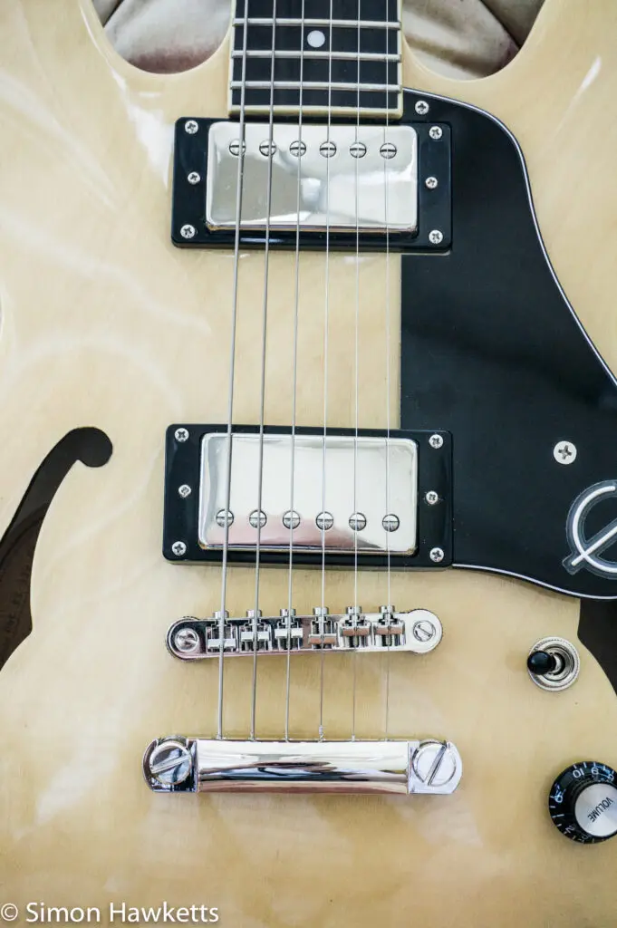 Buying a new Guitar 2 20140810 dsc4139
