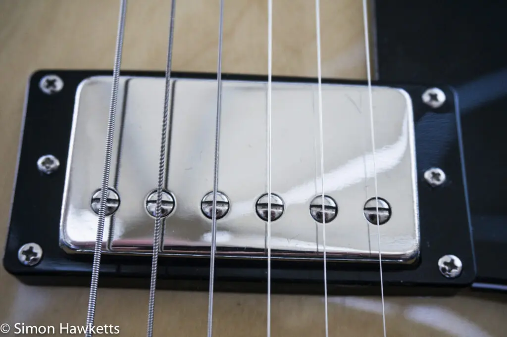 Buying a new Guitar 7 20140810 dsc4144