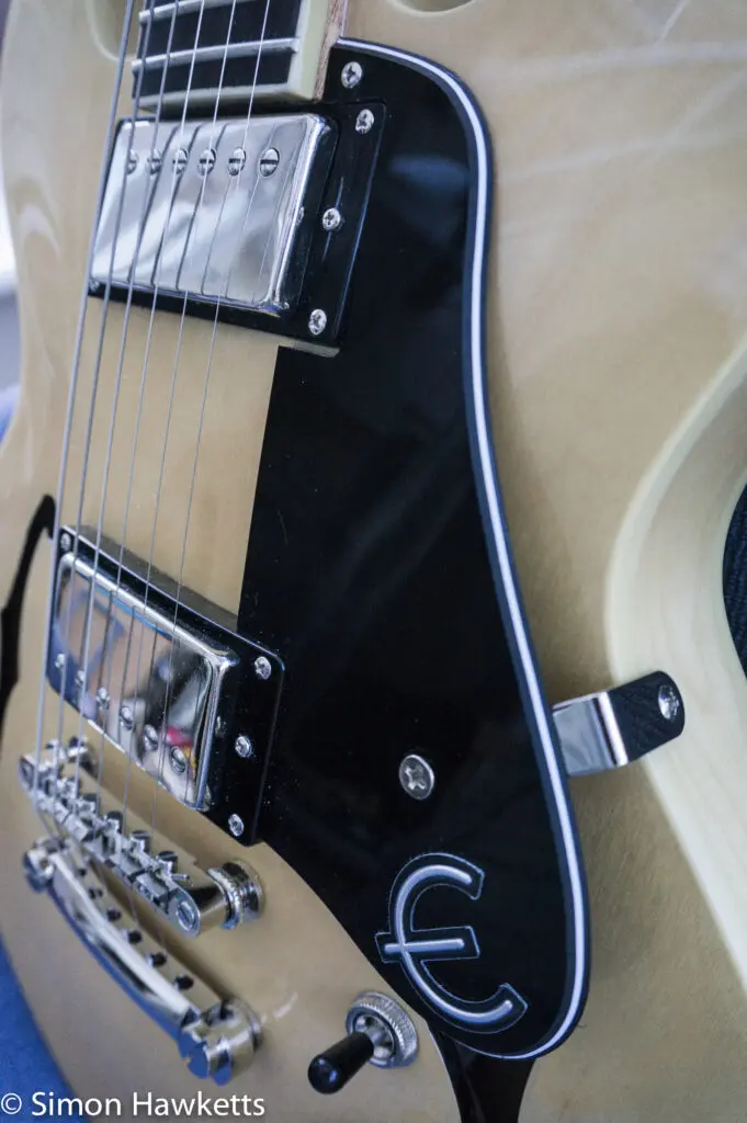 Buying a new Guitar 8 20140810 dsc4146