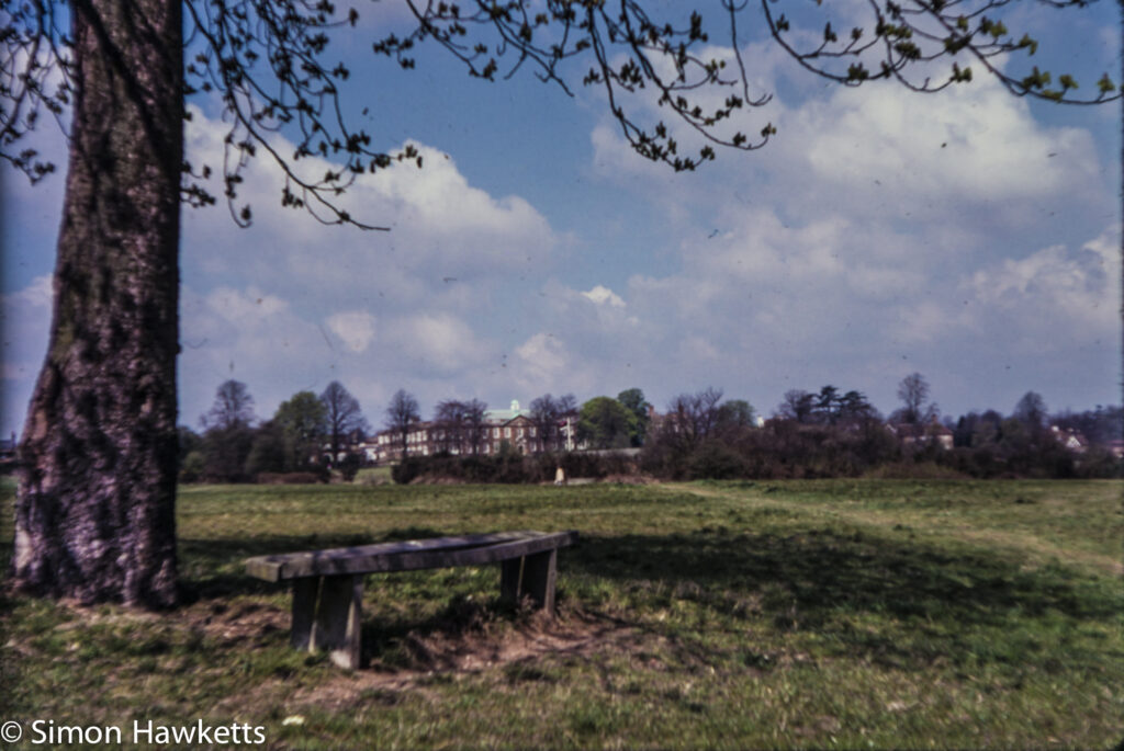 Views around London c1980 on colour slide film - A tree and a bench