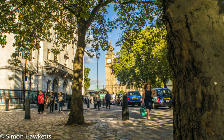 Looking through the trees towards Big Ben