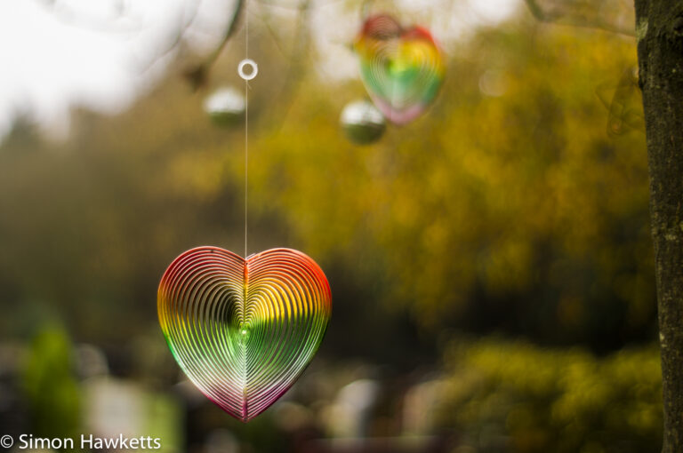 Sony NEX 6 with takumar and camdiox pictures - tree decorations