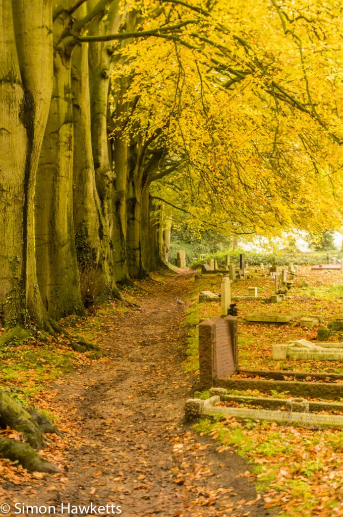 Autumnal St Nicholas Church 8 20141115 dsc5229