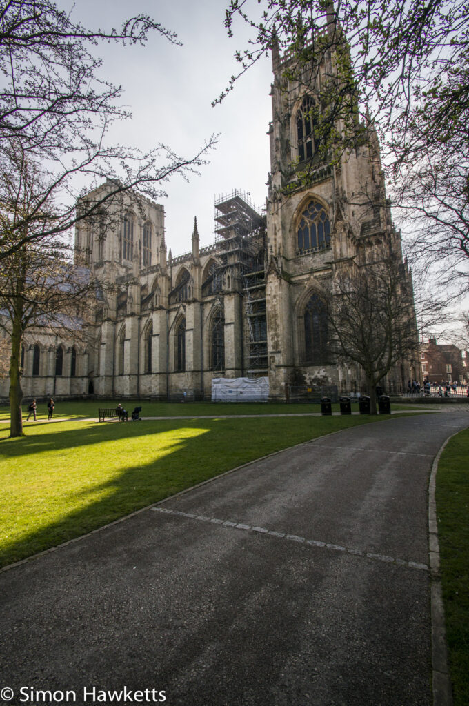 The pathway leading to York Minster through the gardens