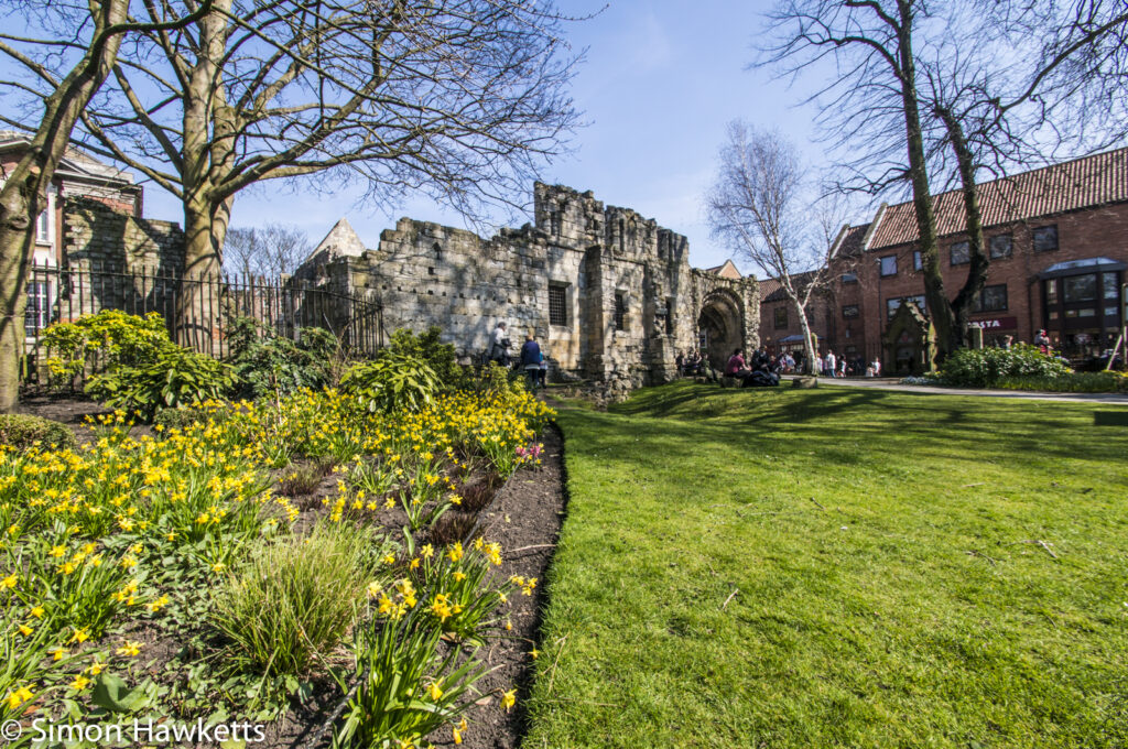 In York museum gardens looking towards the city wall