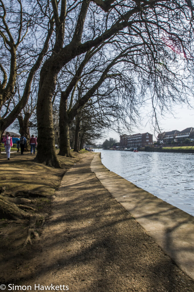 A path on the riverside next to the Ouse in York