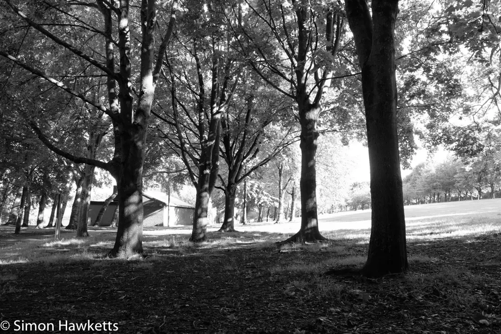 Fuji XT-1 Film Simulation modes 19 20170731 DSF9315 11