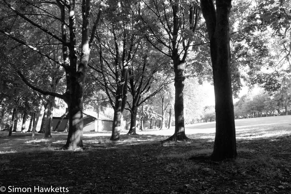 Fuji XT-1 Film Simulation modes 14 20170731 DSF9315 9