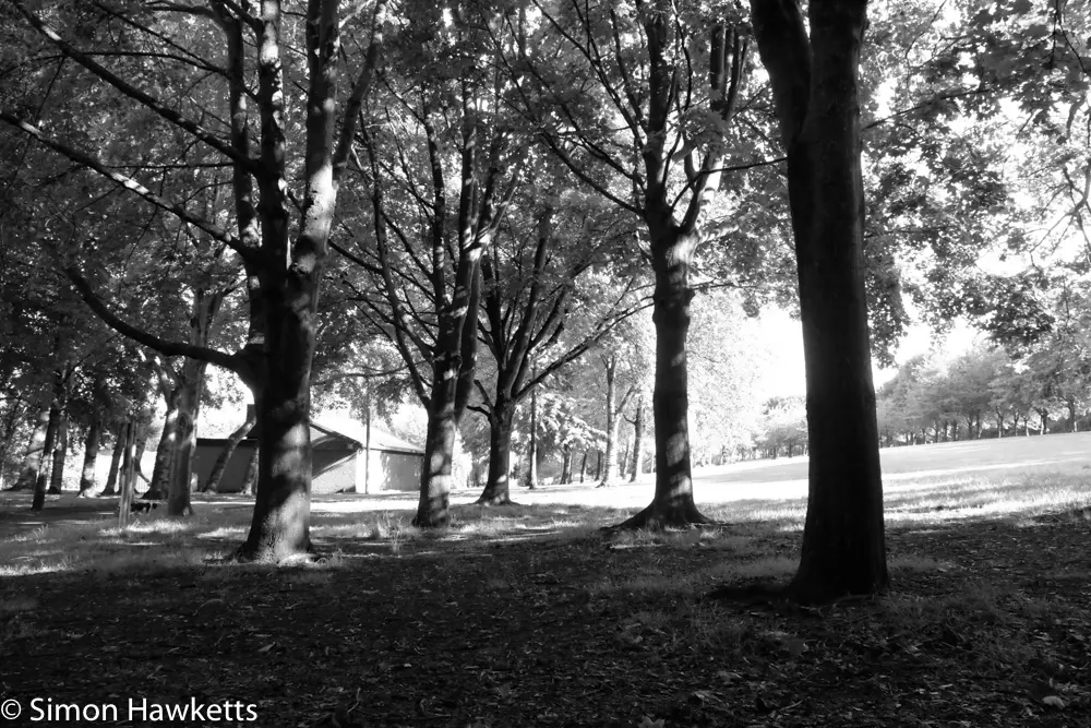 Fuji XT-1 Film Simulation modes 15 20170731 DSF9322