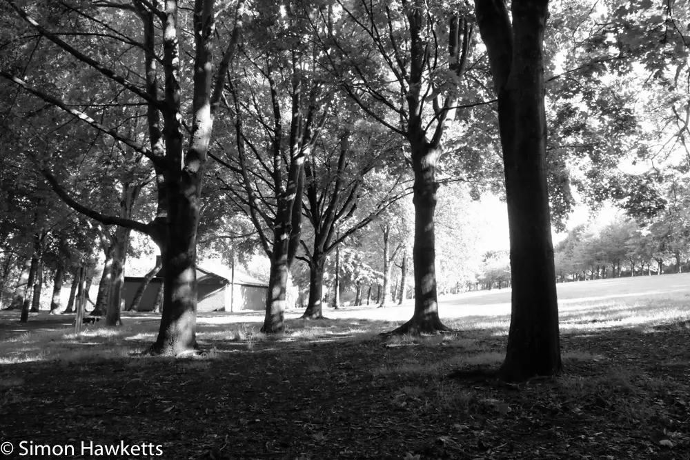 Fuji XT-1 Film Simulation modes 17 20170731 DSF9323