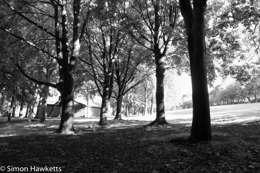 Fuji XT-1 Film Simulation modes 18 20170731 DSF9324