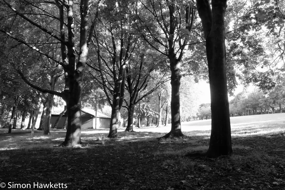 Fuji XT-1 Film Simulation modes 20 20170731 DSF9325