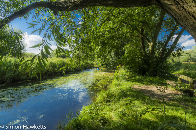 Wensum river bank