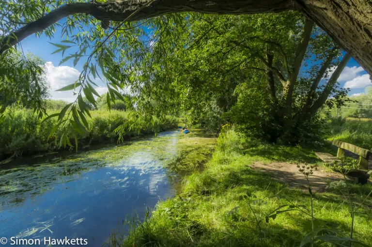 Wensum river bank 6 Wensum river bank